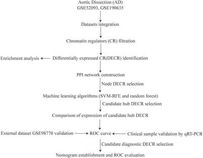 Identification and validation of differentially expressed chromatin regulators for diagnosis of aortic dissection using integrated bioinformatics analysis and machine-learning algorithms